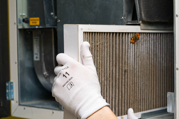 Best Air Duct Mold Removal  in Independent Hill, VA
